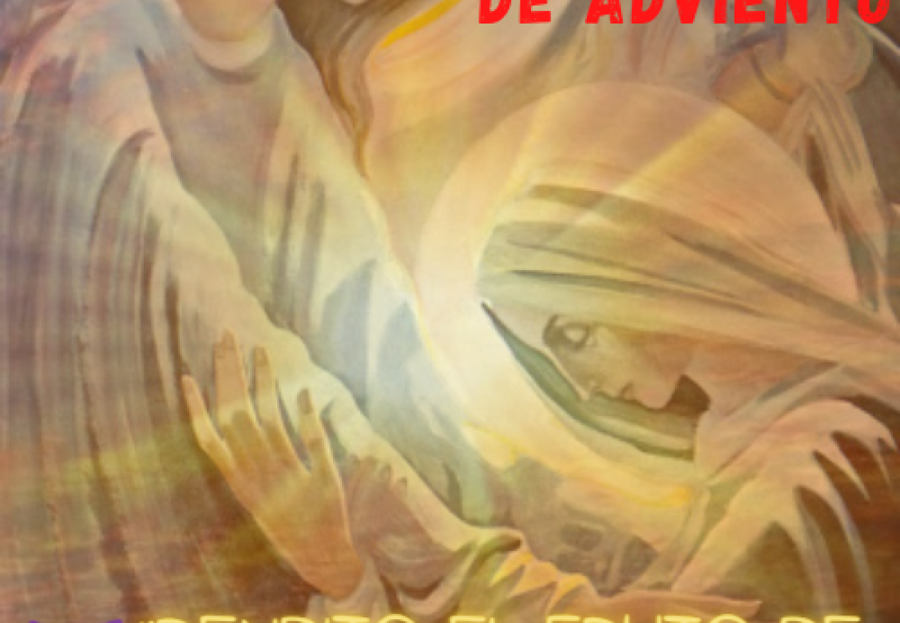 Un encuentro de alegría desbordante - IV Domingo de Adviento